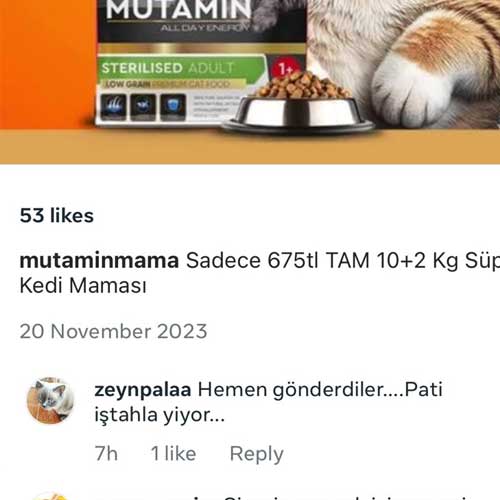 Hemen Gönderdiler Pati İştahla Yiyor