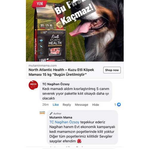 Kedi Maması Aldım 5 Canım Severek Yiyor
