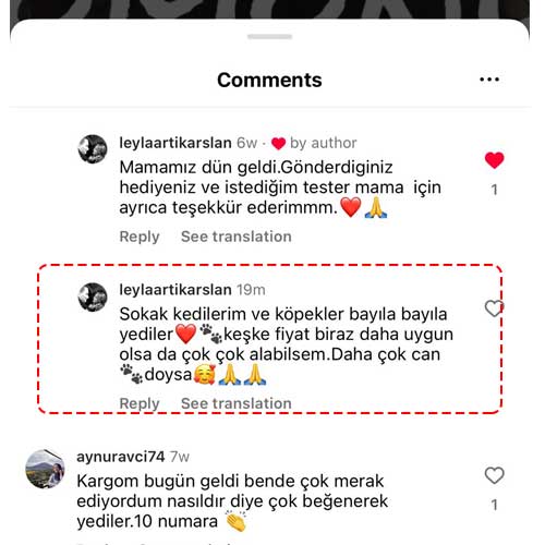 Sokak Kedilerim ve Köpekler Bayıla Bayıla Yediler