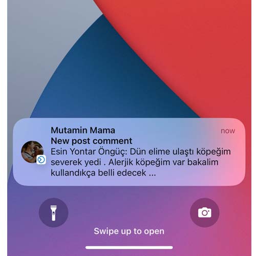 Dün Elime Ulaştı Köpeğim Severek Yedi
