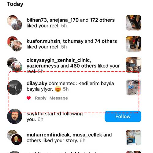 Kedilerim Bayıla Bayıla Yiyor