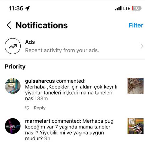 Köpekler İçin Aldım Çok Keyifli Yiyorlar!