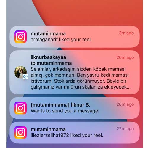 Arkadaşım Sizden Köpek Maması Almış Çok Memnun