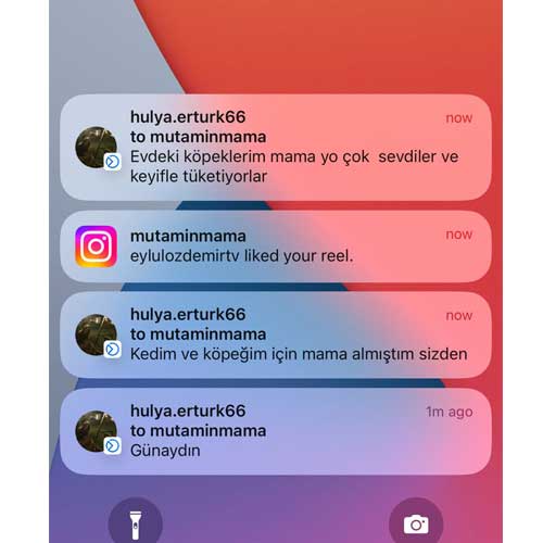 Mamayı Çok Sevdiler Keyifle Tüketiyorlar