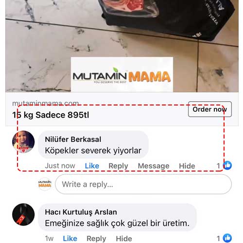 Köpekler Severek Yiyorlar