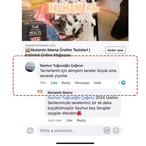 Terrierlerim İçin Almıştım Taneler Büyük Ama Severek Yiyorlar