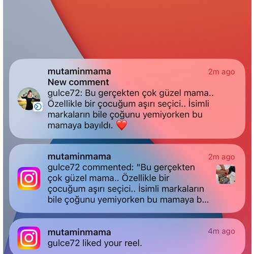 Özellikle Bir Çocuğum Aşırı Seçici İsimli Markaların Bile Çoğunu Yemiyorken Bu Mamaya Bayıldı