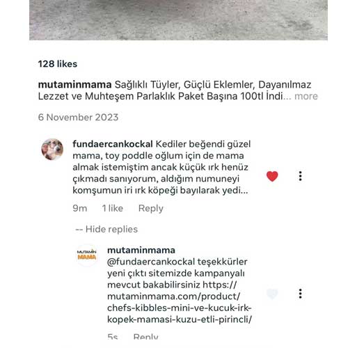 Kediler Beğendi Güzel Mama Komşumun İri Irk Köpeği Numuneyi Bayılarak Yedi