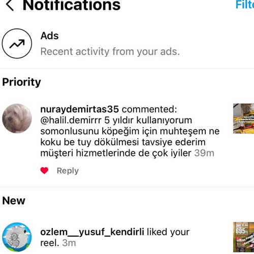 Somonlusu Köpeğim İçin Muhteşem Ne Koku Ne Tüy Dökülmesi Tavsiye Ederim