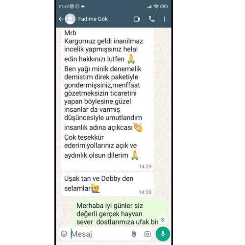 Uşaktan ve Dobby den Selamlar