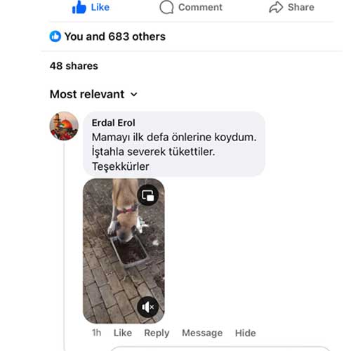 Mamayı İlk Defa Önlerine Koydum İştahla Severek Tükettiler Erday Beyin Yorumu