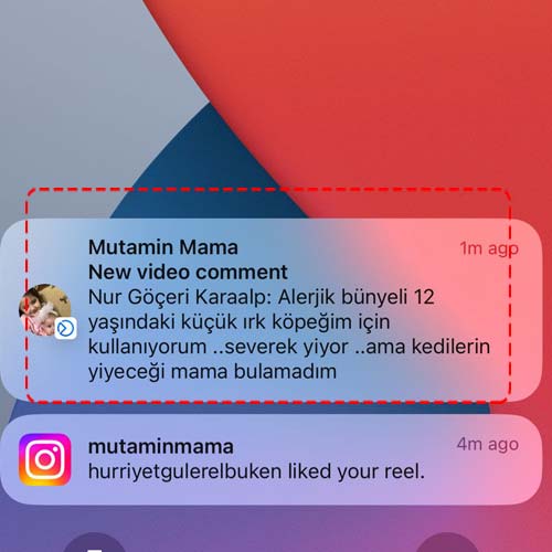Alerjik Bünyeli 12 Yaşındaki Küçük Irk Köpeğim İçin Kullanıyorum Severek Yiyor