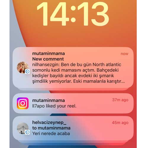 Ben De Bugün North Atlantic Somonlu Kedi Mamamı Açtım Bahçedeki Kedişler Bayıldı