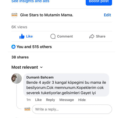 4 aydir 3 kangal köpeğini mamamızla besleyen Dumanlı Bahçem yorumu