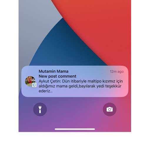 Dün İtibariyle Maltipo Kızımız İçin Aldığımız Mama Geldi Bayılarak Yedi Teşekkür Ederiz.