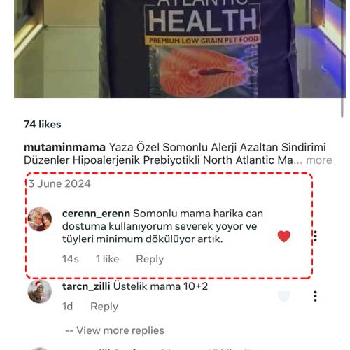 Somonlu Mama Harika Can Dostuma Kullanıyorum Severek Yiyor ve Tüyleri Minimum Dökülüyor Artık