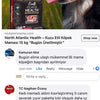 Bugün Elime Ulaştı Mükemmel Bi Mama Köpeğim Başından Ayrılmıyor