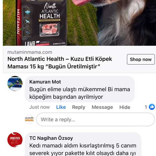Bugün Elime Ulaştı Mükemmel Bi Mama Köpeğim Başından Ayrılmıyor