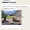 5 Ay Önce Tanıştım Bu Mama İle Mükemmel Köpeklerim Çok Seviyor Tüy Yapısıda Farklı Olmaya Başladı