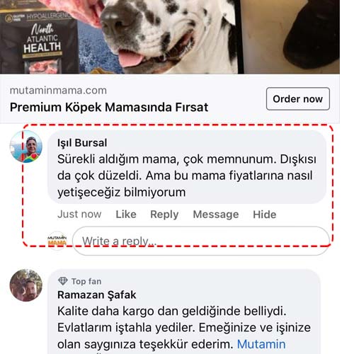 Sürekli Aldığım Mama Çok Memnunum Dışkısı Da Çok Düzeldi