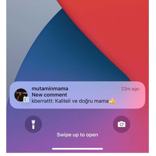 Kaliteli ve Doğru Mama
