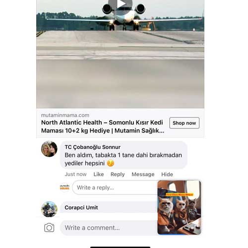 Ben Aldım Tabakta 1 Tane Dahi Bırakmadan Yediler Hepsini