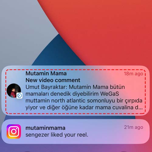 Bütün Mamalarını Denedik Diyebilirim North Atlantic Somonluyu Bir Çırpıda Yiyor ve Diğer Öğüne Kadar Mama Çuvalına Bakakalıyor
