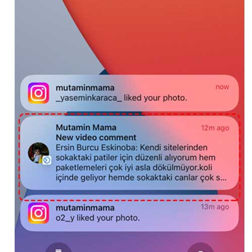 Kendi sitelerinden sokaktaki patiler için sürekli alıyorum hem paketlemesi çok iyi koli içinde geliyor dökülmüyor ve çok severek yiyorlar