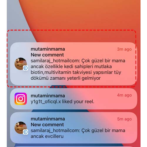 Çok Güzel Bir Mama Ancak Kedi Sahipleri İçin Biotin De Tavsiye Ediyorum