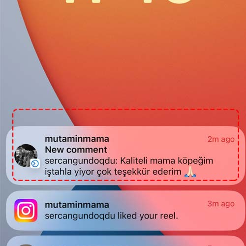Kaliteli Mama Köpeğim İştahla Yiyor Çok Teşekkür Ederim