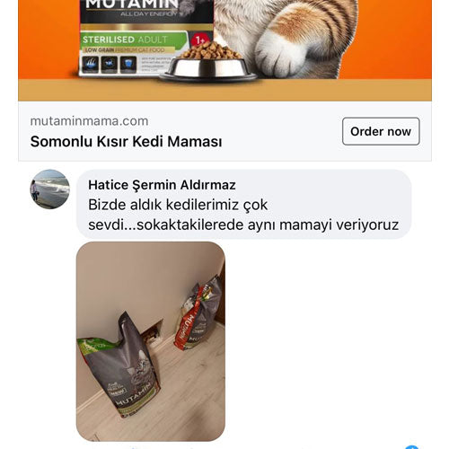 Biz De Aldık Kedilerimiz Çok Sevdi Sokaktakilerede Aynı Mamayı Veriyoruz