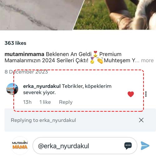 Tebrikler Köpeklerim Severek Yiyor