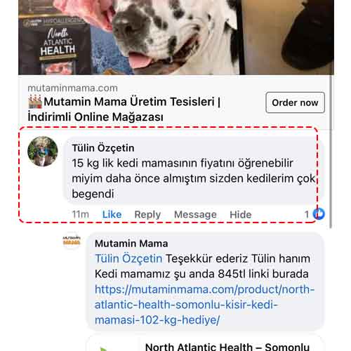 15 kg Kedi Mamasının Fiyatını Öğrenebilir Miyim Daha Önce Almıştım Sizden Kedilerim Çok Beğendi