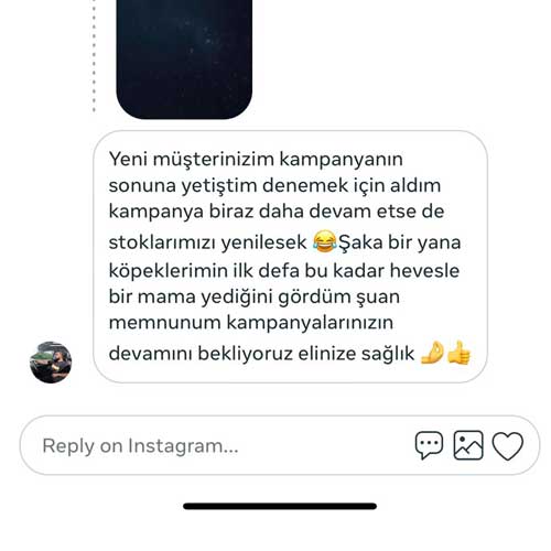 Köpeklerimin İlk Defa Bu Kadar Hevesle Mama Yediğini Gördüm
