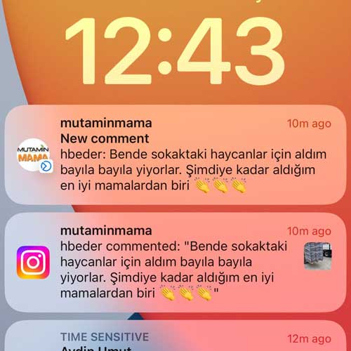 Bende Sokaktaki Canlar İçin Aldım Bayıla Bayıla Yiyorlar