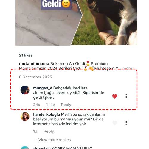Bahçedeki Kedilere Aldım Çok Severek Yediler 2. Siparişimde Geldi Teşekkürler