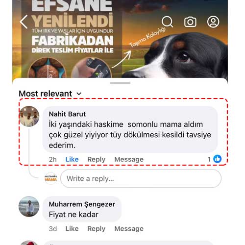 İki Yaşındaki Haskime Somonlu Aldım Çok Güzel Yiyor Tüy Dökümü Kesildi