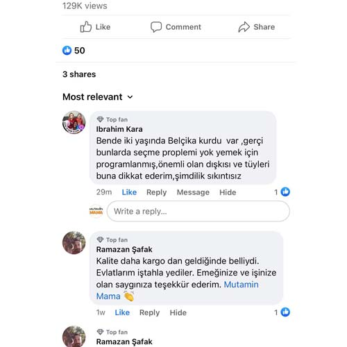 Bende İki Yaşında Belçika Kurdu Var Dışkı ve Tüyleri Şu Anda Sıkıntısız