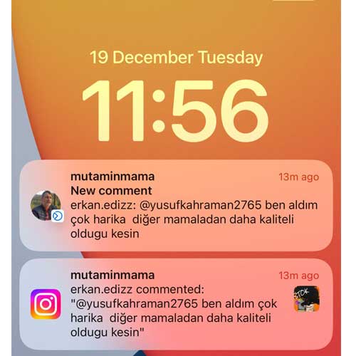 Ben Aldım Çok Harika Diğer Mamalardan Daha Kaliteli Olduğu Kesin