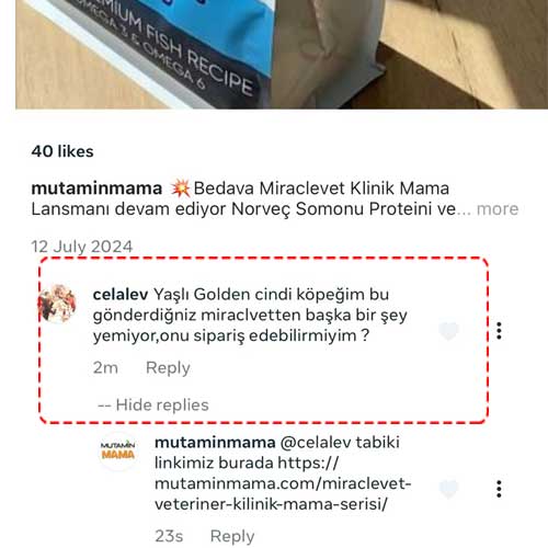 Yaşlı Golden Cinsi Köpeğim Miraclevet den başka mama yemiyor, nasıl sipariş verebilirim