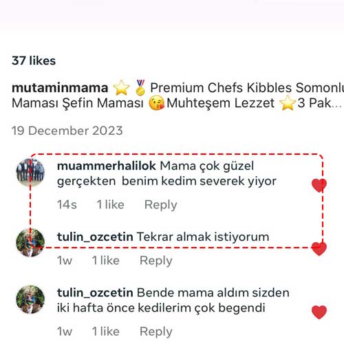 Gerçekten Benim Kedim Severek Yiyor