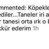 Instagramdan Bize Ulaşıp Köpek Maması Satın Alan Rana Hanımın Yorumu