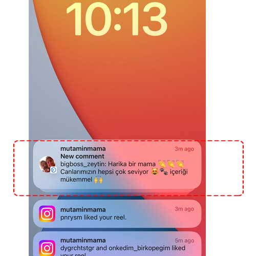 Harika Bir Mama Canlarımızın Hepsi Çok Seviyor