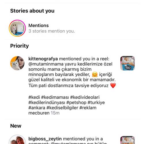Yavru Kedilerimize Özel Somonlu Mama Çıkarmış Bizim Minnoşlarım Bayılarak Yediler