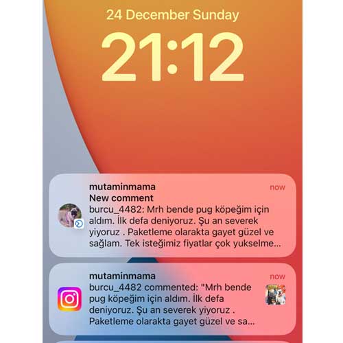 Ben de Pug köpeğim için aldım İlk Defa Deniyoruz Şu Anda Severek Yiyoruz Paketleme Gayet Güzel ve Sağlam