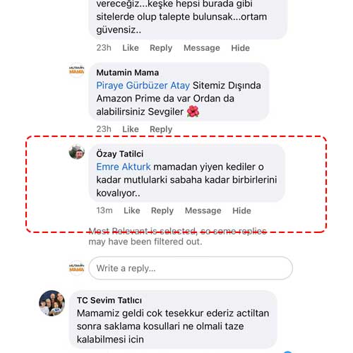 Mamadan Yiyen Kediler O Kadar Mutlular Ki
