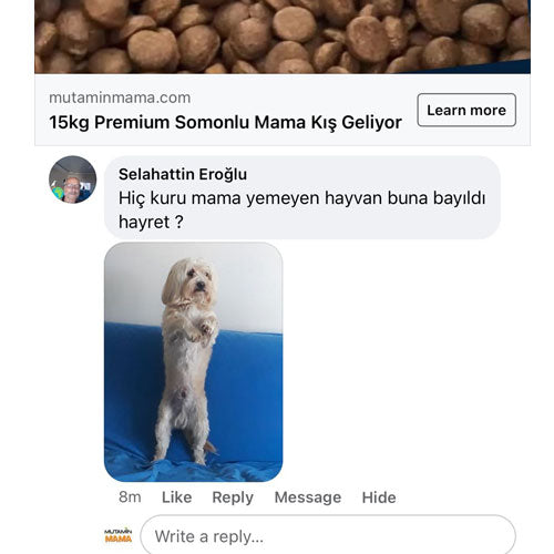 Hiç kuru mama yemeyen hayvan buna bayıldı? Selahattin beyin yorumu!
