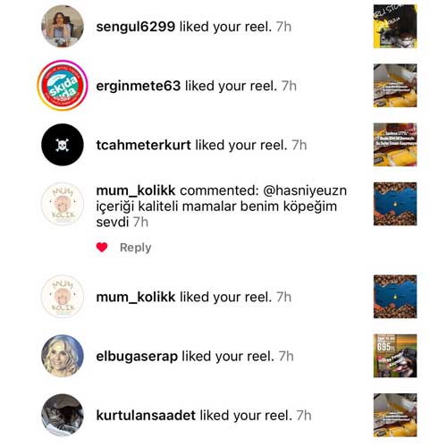 İçeriği Kaliteli Mamalar Benim Köpeğim Sevdi
