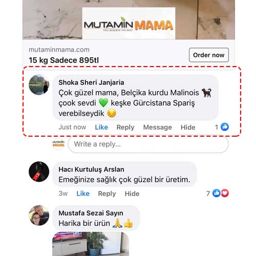 Çok Güzel Mama Belçika Kurdu Malinois Çook Sevdi Keşke Gürcistanda Sipariş Verebilseydik